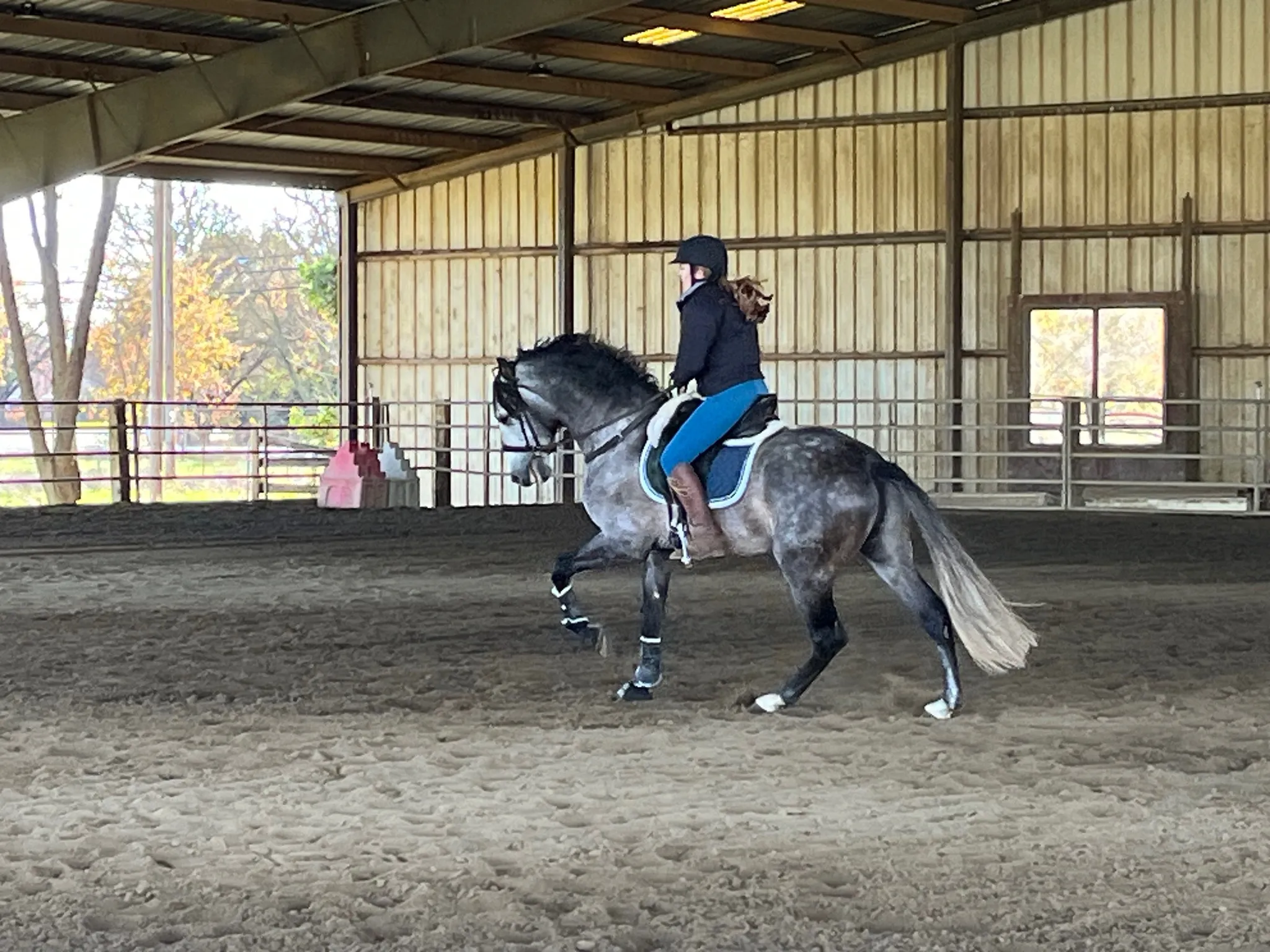 A rider schooling a horse in the covered arena