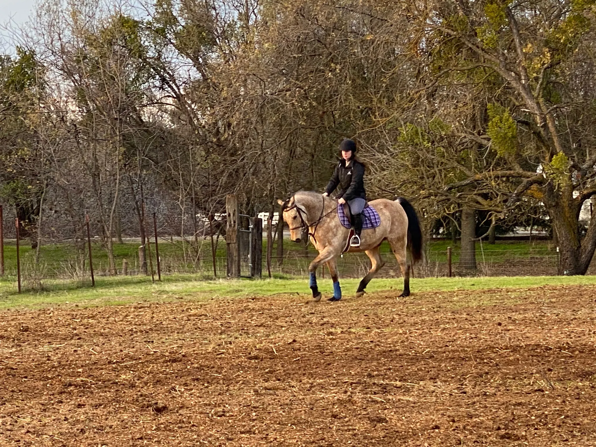 A rider working a horse in the arena